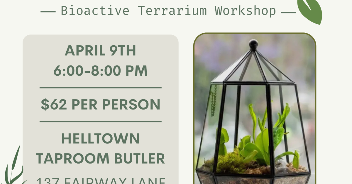 Bioactive Terrarium Workshop at Helltown Brewing | Experience Butler ...